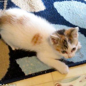 65535_52547644341_6561c6b35f_300_300_nofilter