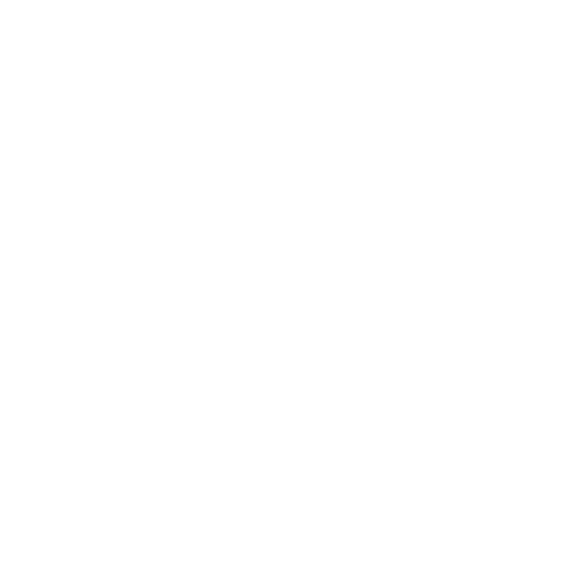 document verification